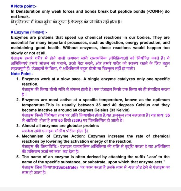 Biomolecules – Class 12 Chemistry PDF Notes - Image 3